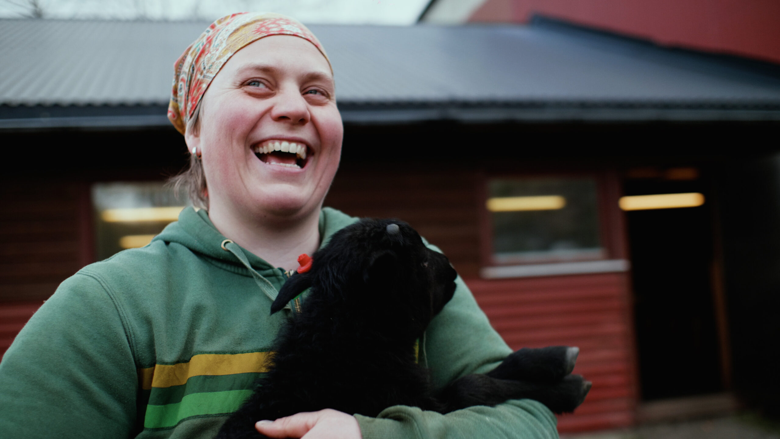Rakel Nystabakk med eit lite lam i armane. Det er syster hennar som er filmregissør. Ein del av målsettinga med dokumentaren er å visa både høgdepunkta og dei vanskelege sidene ved det å vera sauebonde. Foto: FX Produksjoner / NPK