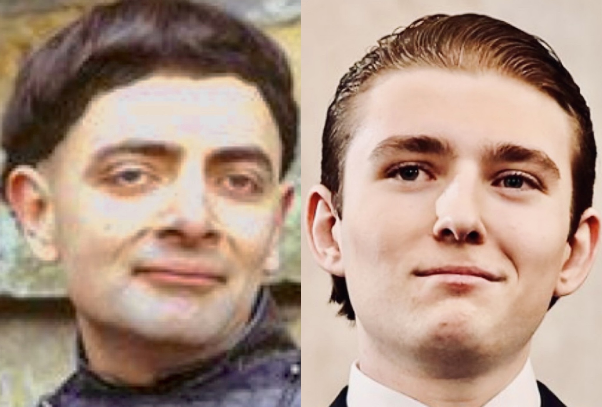 Skild ved fødselen: Svarte Orm og Barron Trump.