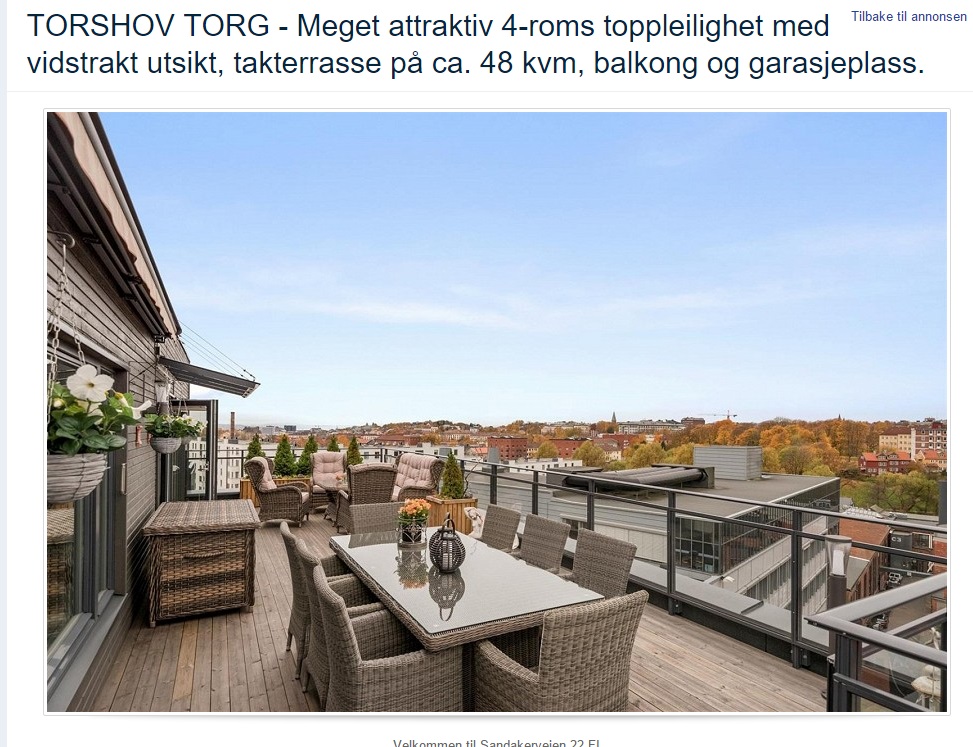 Faksimile av finn.no-annonsen for Torshov-leiligheten som den nye eieren sikret seg for 10,1 millioner kroner.