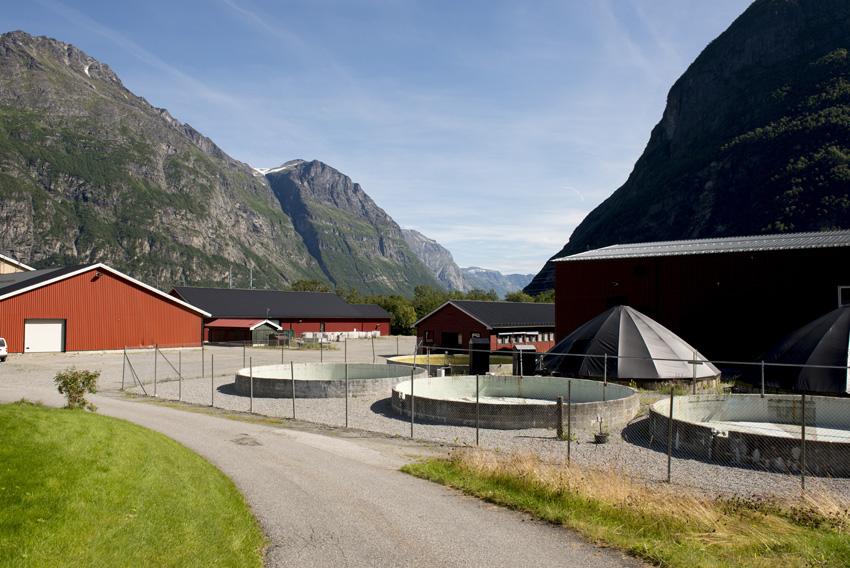 Sunndalsøra in Norway: Benchmark Holdings has invested heavily in breeding and genetics, after purchasing Salmobreed and Akvaforsk Genetics Center, both entities spinned off from Norwegian breeding research.