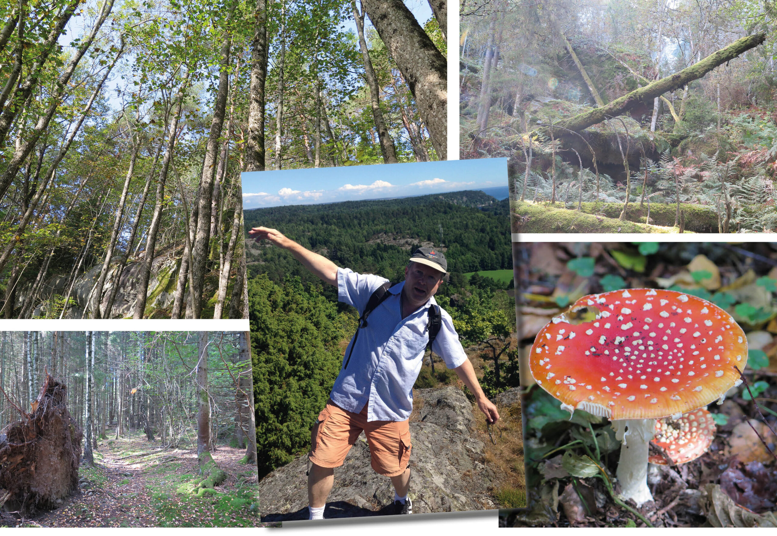 Dag Yngland bor i Stathelle og skriver for OBM.