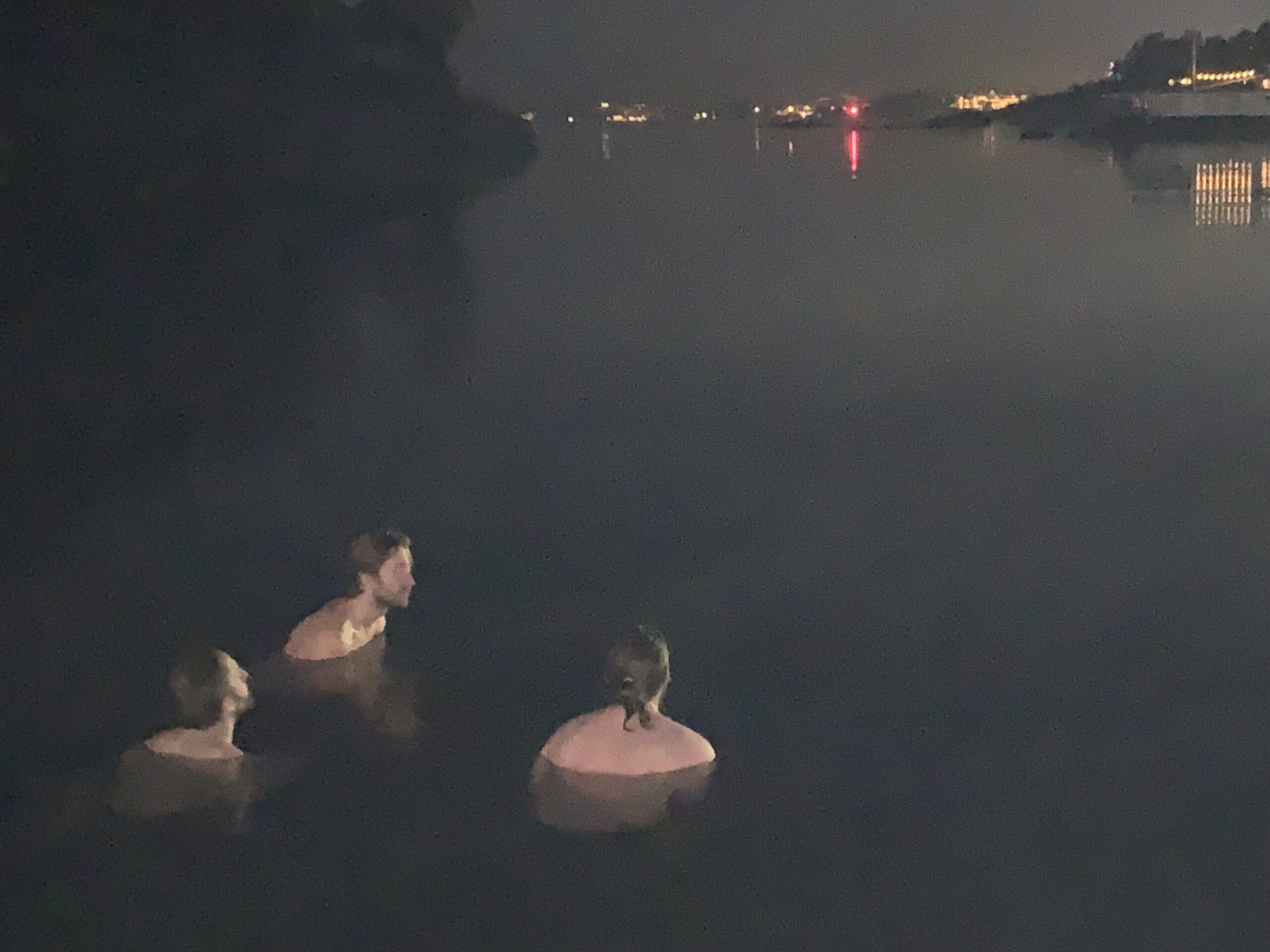 – Blodet raser som besatt rundt i årene, huden er helt glatt av det stivnede underhudsfettet og tankene samler seg til en geysir av fryd, skriver Bodil Fuhr om overlevd isbading i november.