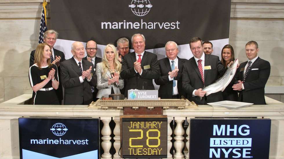 Marine Harvest on the NYSE: (From left) Tor Olav Trøim, MOB, Kristine Gramstad, Director of Communications, Leif Frode Onarheim, MOP, Henrik Heiberg, VP Finance and Treasury, Cecilie Fredriksen, MOB, Duncan Niederauer, CEO NYSE, Ole Eirik Lerøy, COB, John Fredriksen, majority owner, Alf-Helge Aarskog, CEO, Ola Helge Hjetland, Communications Manager, Ingrid Erlandsen, IR Contact Manager, Ivan Vindheim, CFO. Photo: Ben Hider