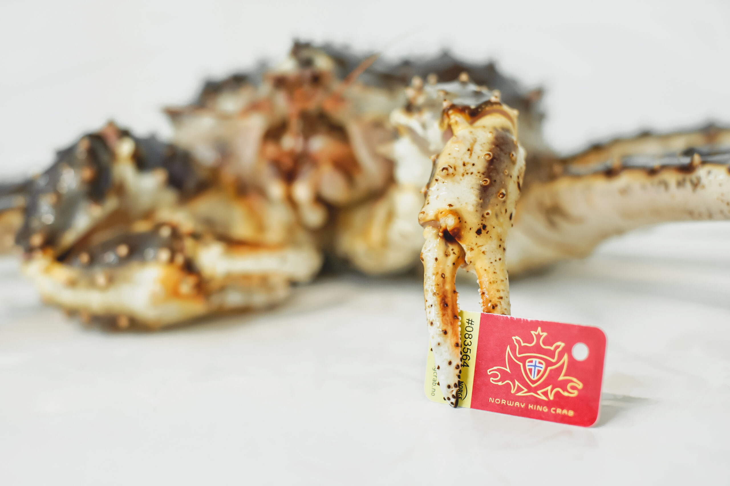 Kingcrab. Photo: Norway Kingcrab.