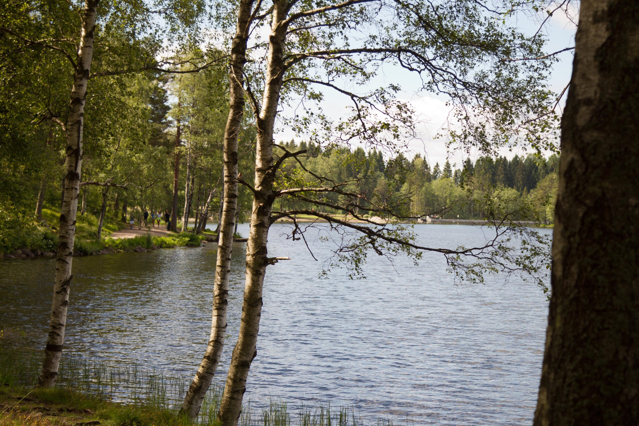 Entreprenør Kaare Mortensen Oslo/Akershus AS var på befaring ved Sognsvann i slutten av juni. De ser fram til å begynne arbeidet i slutten av august og tror lysløypa blir en stor suksess.