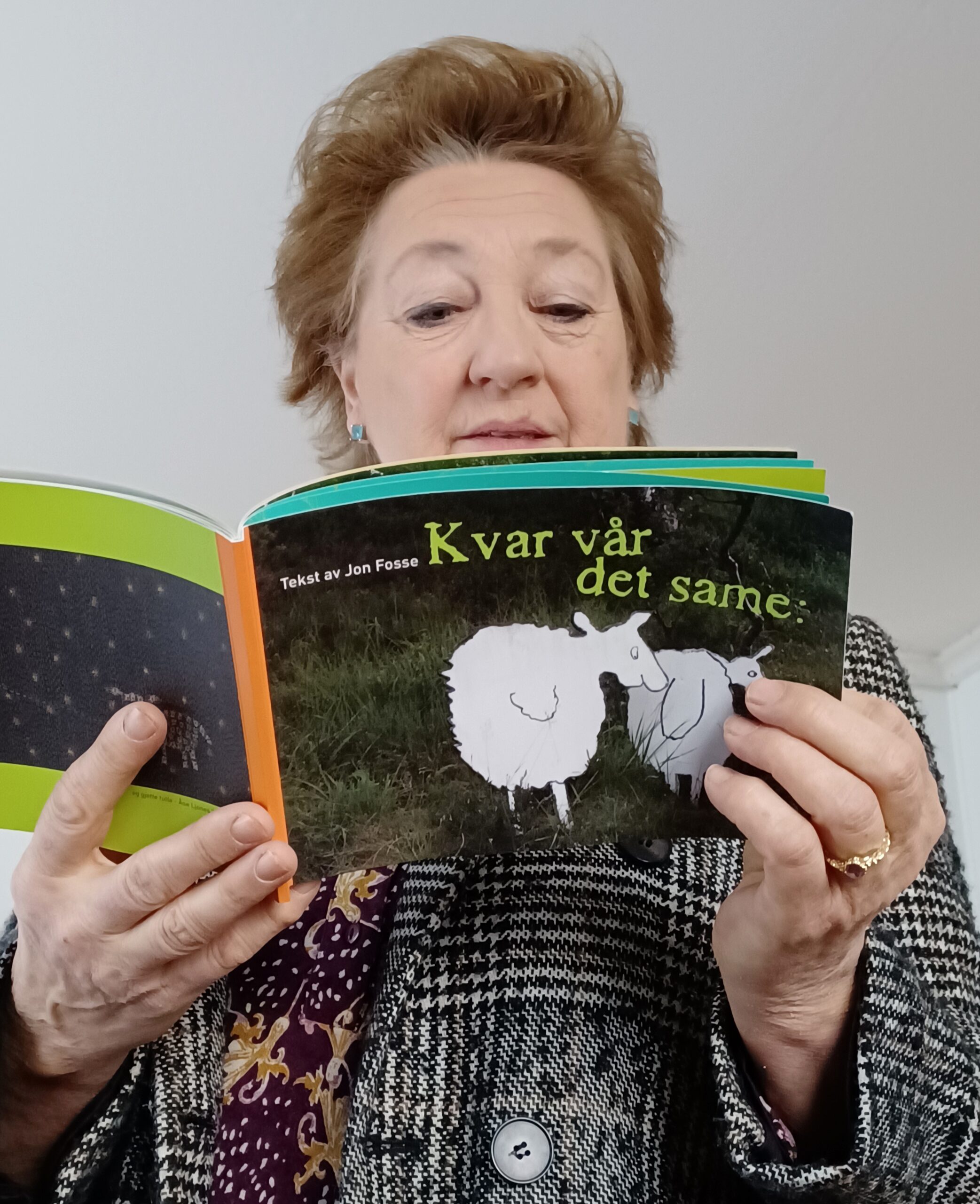 LEVANDE BOK: Etter ide frå Arnhild Litlere og Åse Ljones vart teksten «Kvar vår det same» av Jon Fosse illustrert med sauebilete frå elevar ved Strandebarm ungdomsskule. Teikningane og teksten finst også i storformat som kan setjast opp og lesast ute. Foto: Heidi Molstad Andresen / NPK