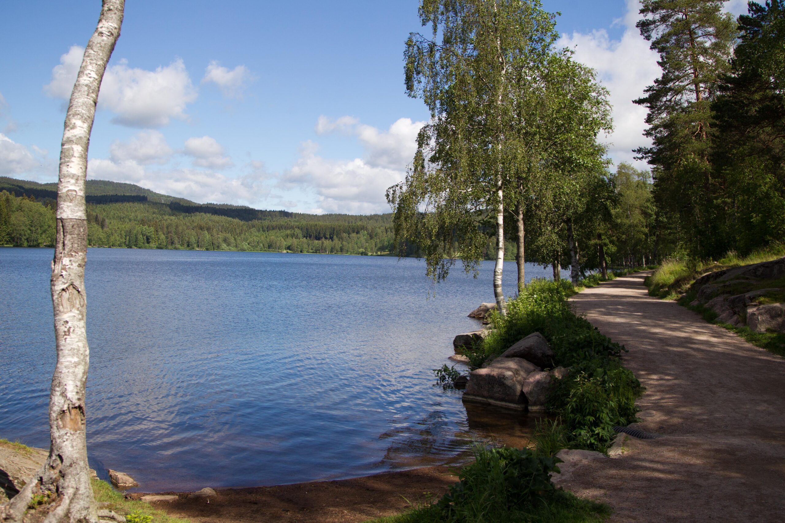 Snart blir det lys rundt Sognsvann, både dag og natt.