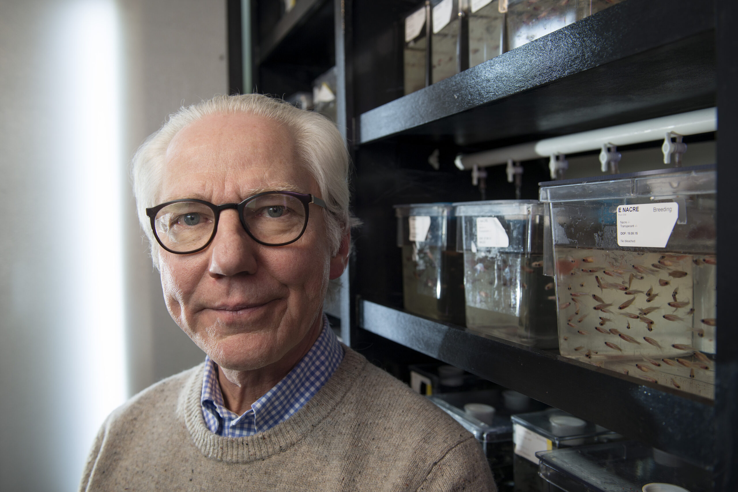 Professor Peter Alestrøm, NBMU: - In my mind, it is completely idiotic to ban research on genetically modified fish. In stead, we could have patented the fish here in Norway and via this patent controlled how it was used. Photo: Gorm K. Gaare.