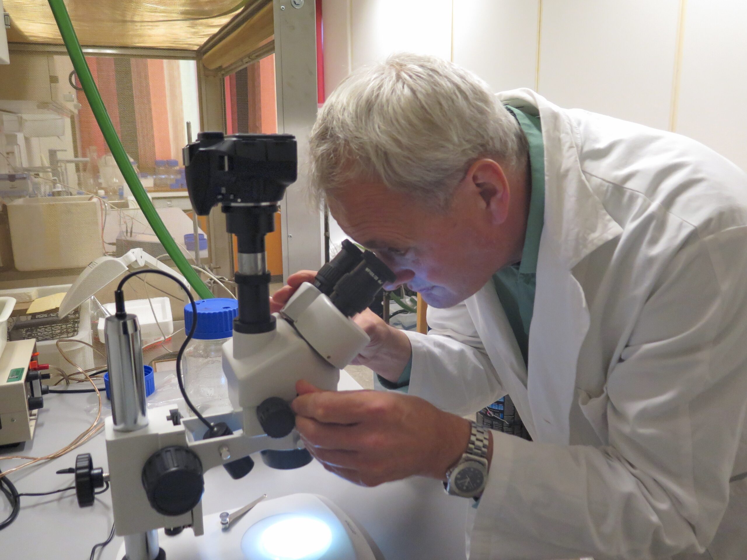 Professor Tor Einar Horsberg research the sea lice. Picture: Tellef Øgrim.