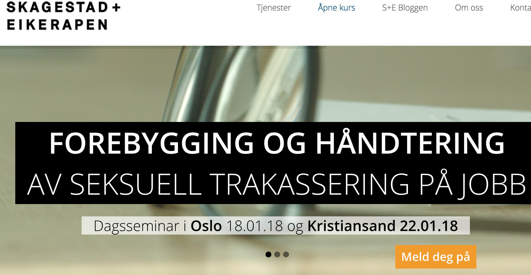 Faksimile av Skagestad + Eikerapens hjemmeside desember 2017.