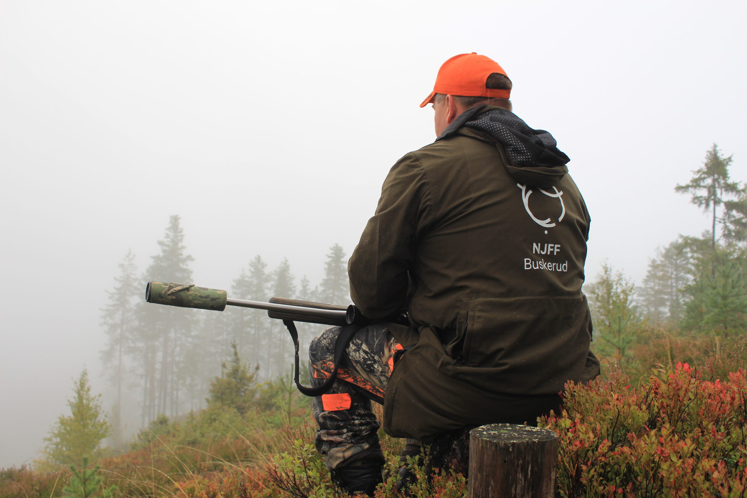 / natur / &laquo;Hjorten har flytta seg over fjella, men han har ikkje gjort heilt austlending av seg av den grunn.&raquo;
